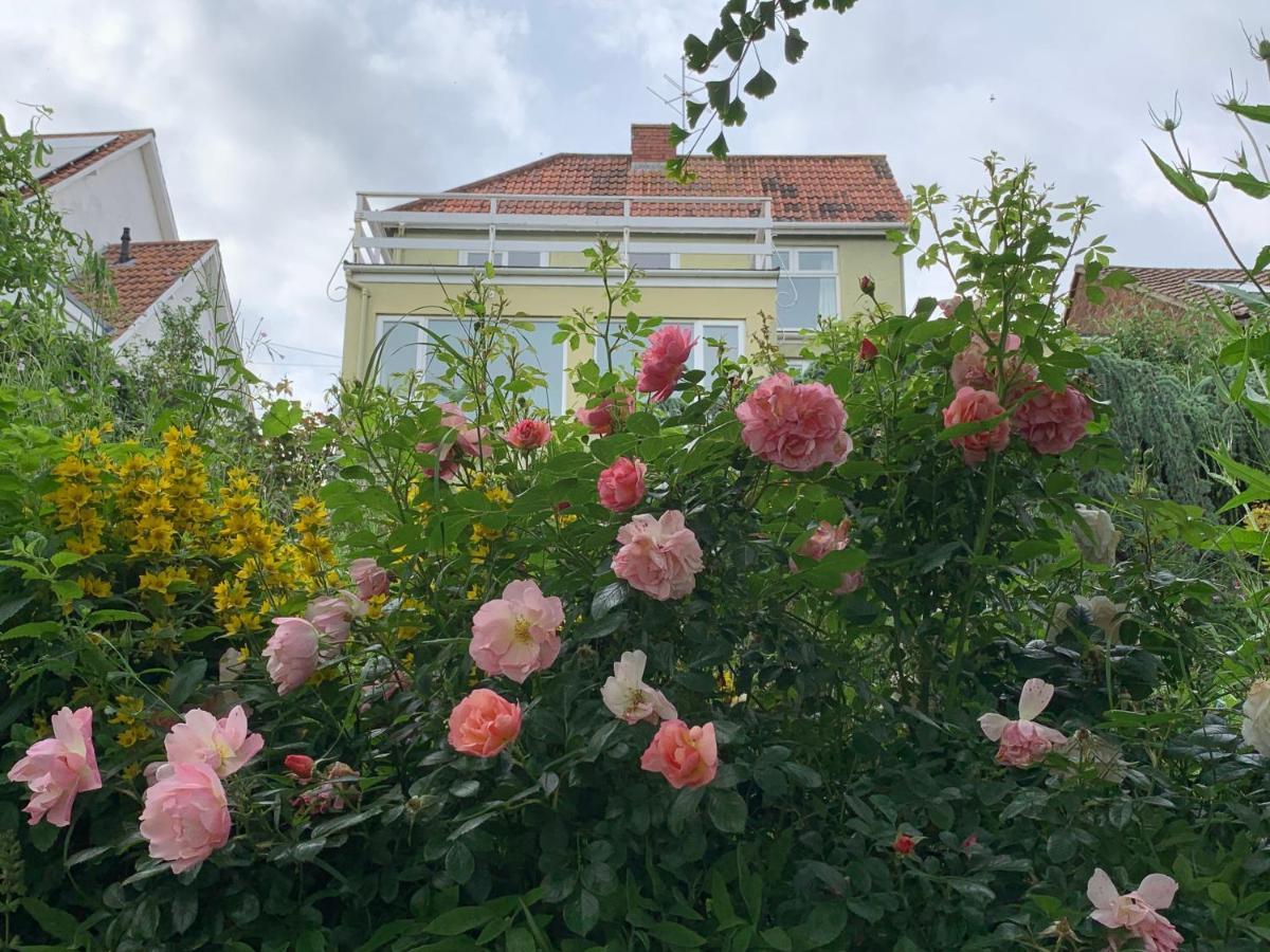 Magic Of Avalon Apartment Glastonbury Bagian luar foto